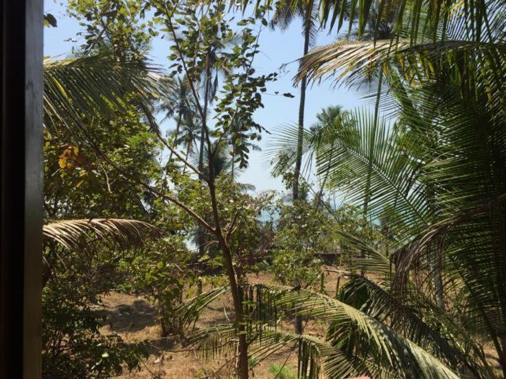 Sunshine Service Villa Kannur Exterior foto